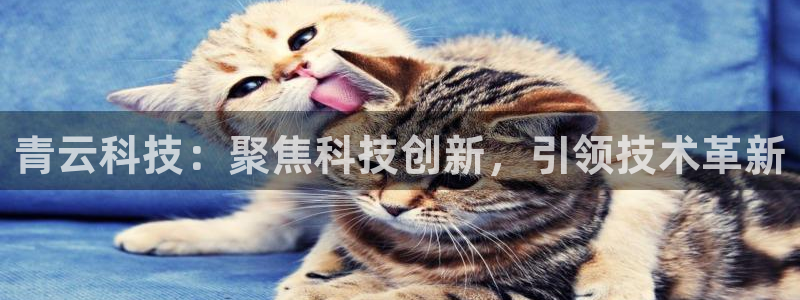 青云科技：聚焦科技创新，引领技术革新