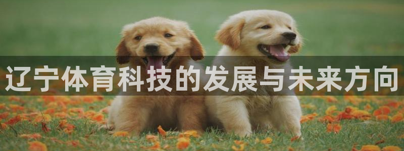 辽宁体育科技的发展与未来方向