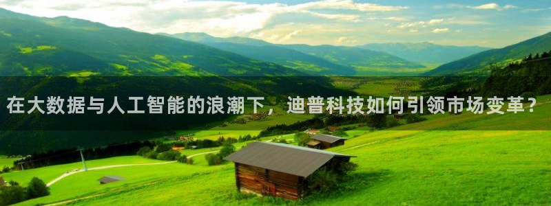 在大数据与人工智能的浪潮下，迪普科技如何引领市场变革？