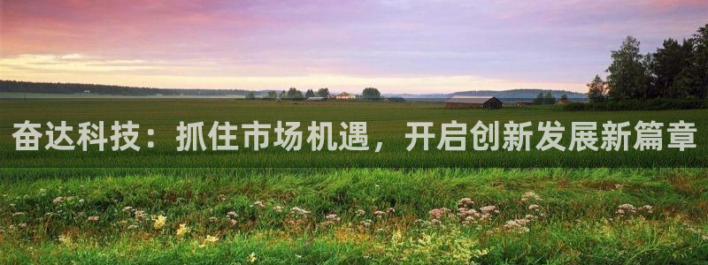 奋达科技：抓住市场机遇，开启创新发展新篇章