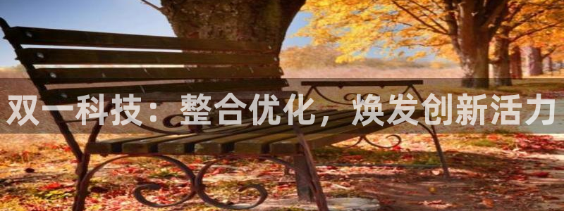 双一科技：整合优化，焕发创新活力