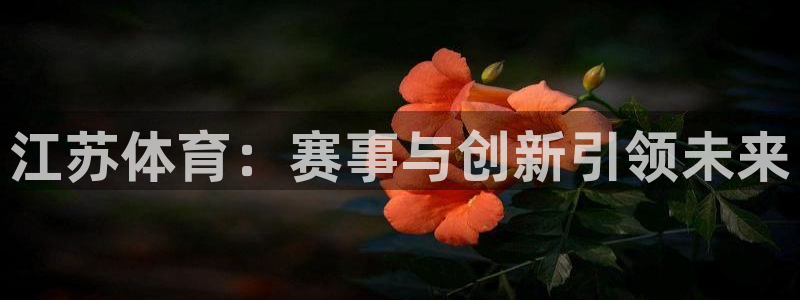 江苏体育：赛事与创新引领未来