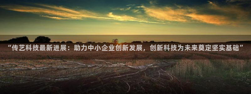 “传艺科技最新进展：助力中小企业创新发展，创新科技为未来奠定坚实基础”