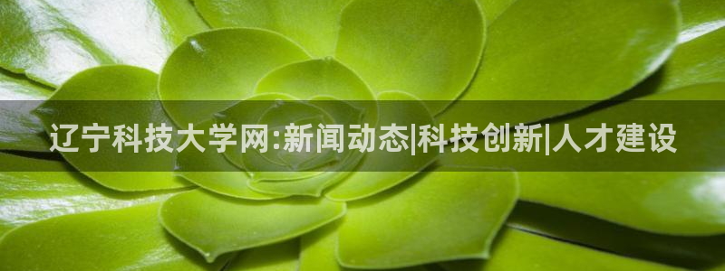 辽宁科技大学网:新闻动态|科技创新|人才建设