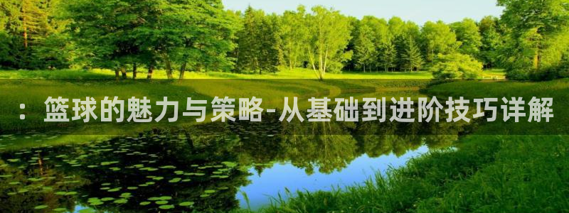：篮球的魅力与策略-从基础到进阶技巧详解