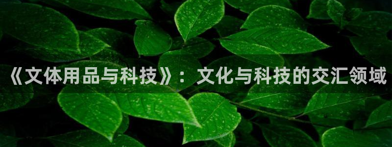 《文体用品与科技》：文化与科技的交汇领域