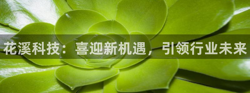 花溪科技：喜迎新机遇，引领行业未来