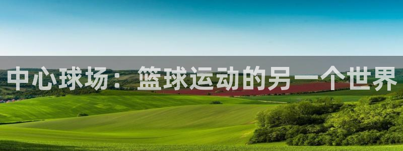 中心球场：篮球运动的另一个世界