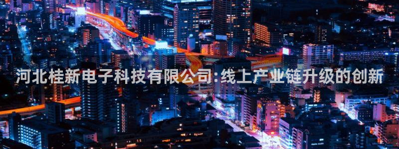 河北桂新电子科技有限公司:线上产业链升级的创新