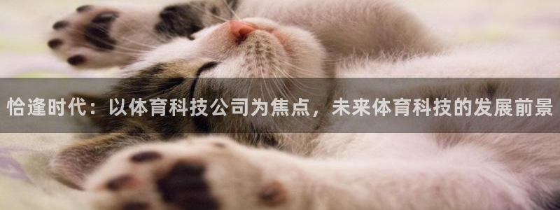 恰逢时代：以体育科技公司为焦点，未来体育科技的发展前景