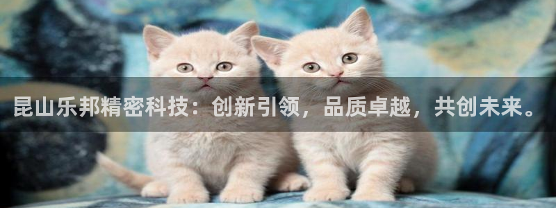 昆山乐邦精密科技：创新引领，品质卓越，共创未来。