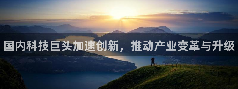 国内科技巨头加速创新，推动产业变革与升级