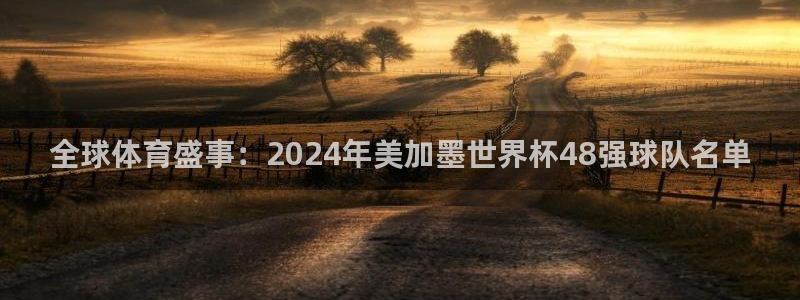 全球体育盛事：2024年美加墨世界杯48强球队名单