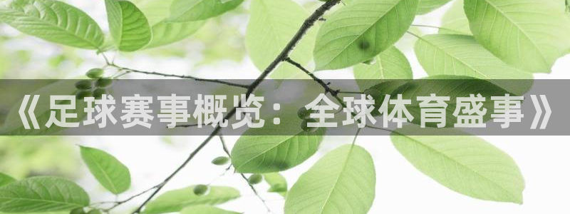 《足球赛事概览：全球体育盛事》