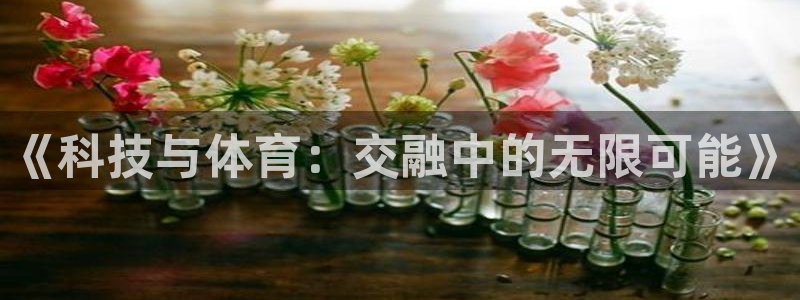 《科技与体育：交融中的无限可能》