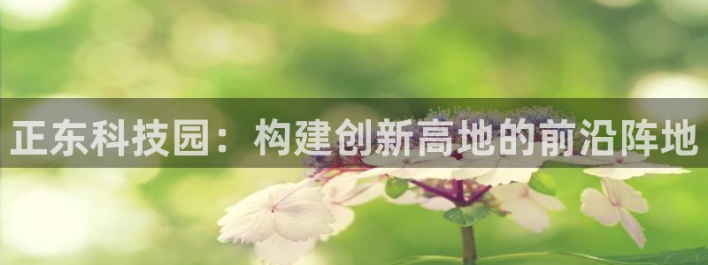 正东科技园：构建创新高地的前沿阵地