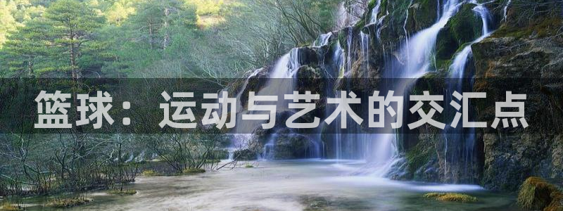 篮球：运动与艺术的交汇点