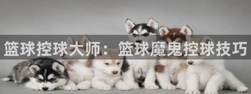 篮球控球大师：篮球魔鬼控球技巧