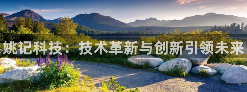 姚记科技：技术革新与创新引领未来