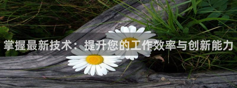 掌握最新技术：提升您的工作效率与创新能力