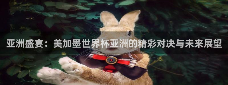 亚洲盛宴：美加墨世界杯亚洲的精彩对决与未来展望