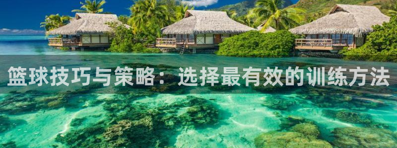 篮球技巧与策略：选择最有效的训练方法