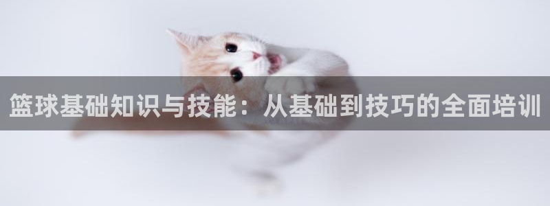 篮球基础知识与技能：从基础到技巧的全面培训