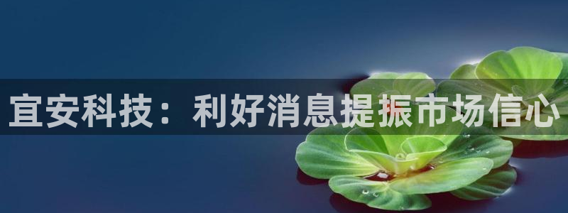 宜安科技：利好消息提振市场信心